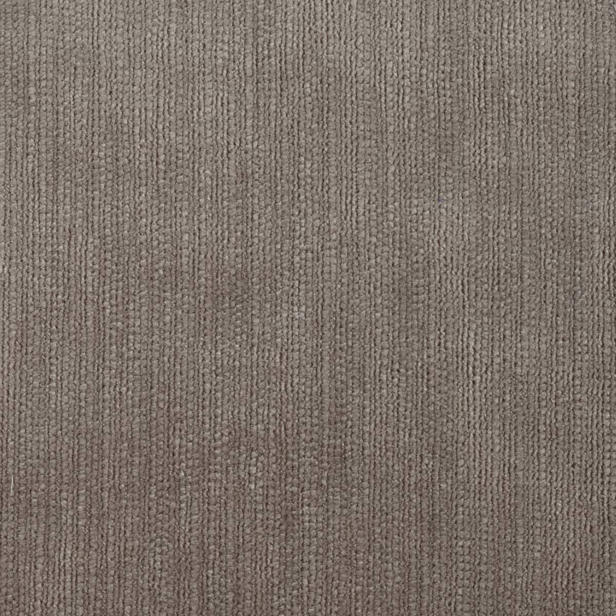 Momentum Velvets Taupe Fabric by Harlequin
