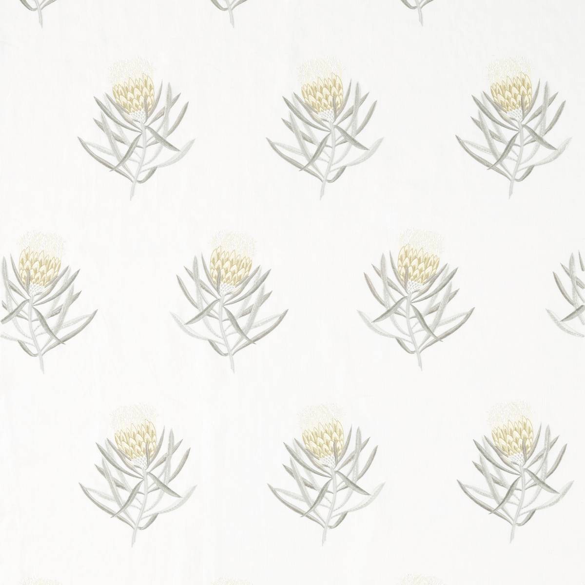 Protea Flower Daffodil/Natural Fabric by Sanderson