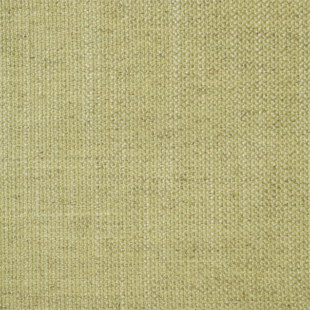 Tamika Plains Pistachio Fabric by Harlequin