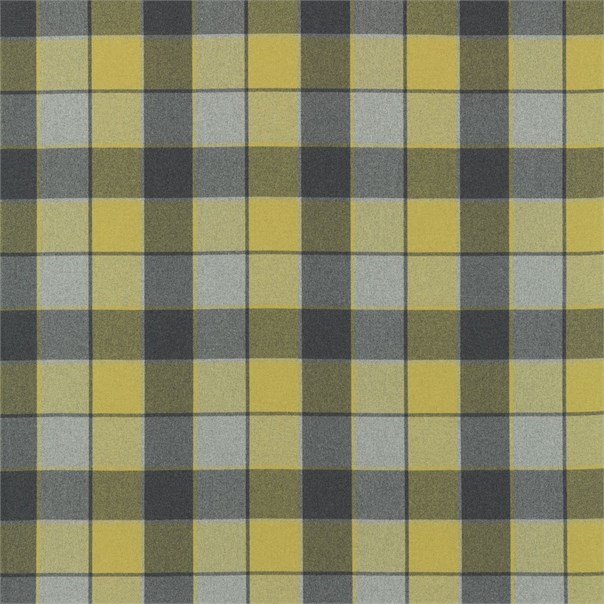 Remi Check Lime and Grey Fabric by Harlequin