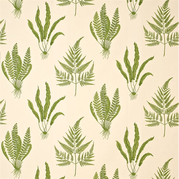 Woodland Ferns Green Fabric by Sanderson