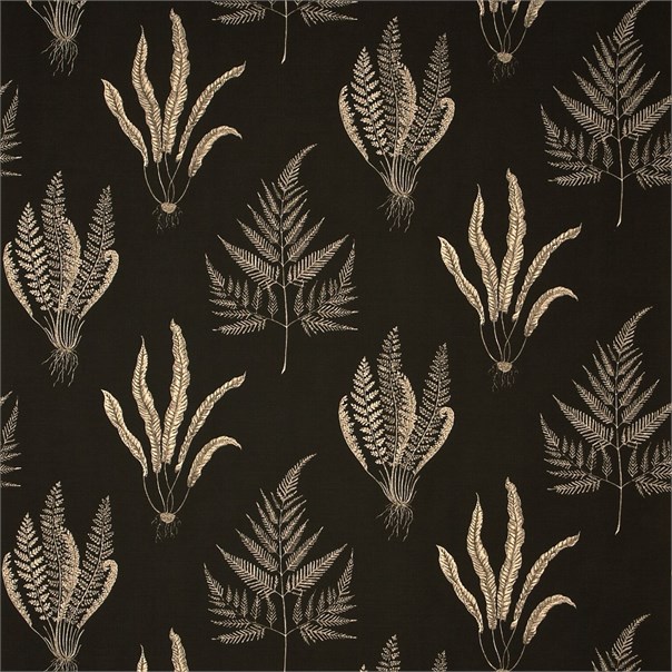 Woodland Ferns Charcoal Fabric by Sanderson