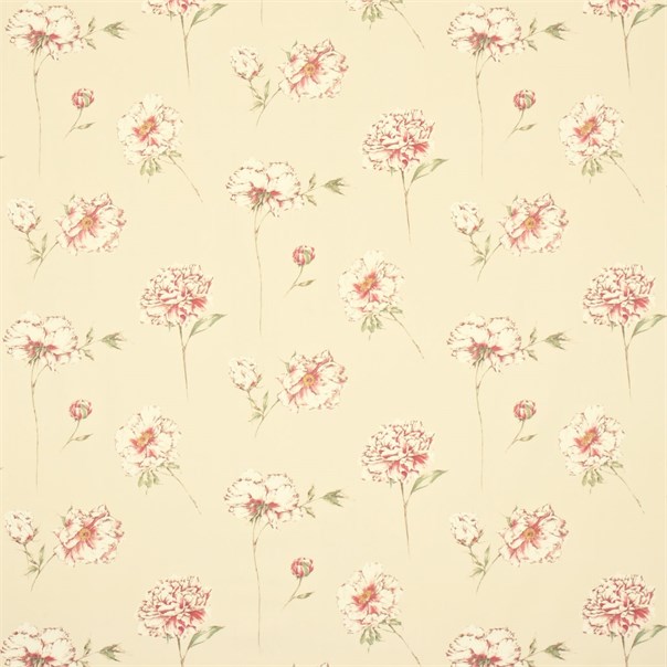 Peony Stem Cream/Pink Fabric by Sanderson