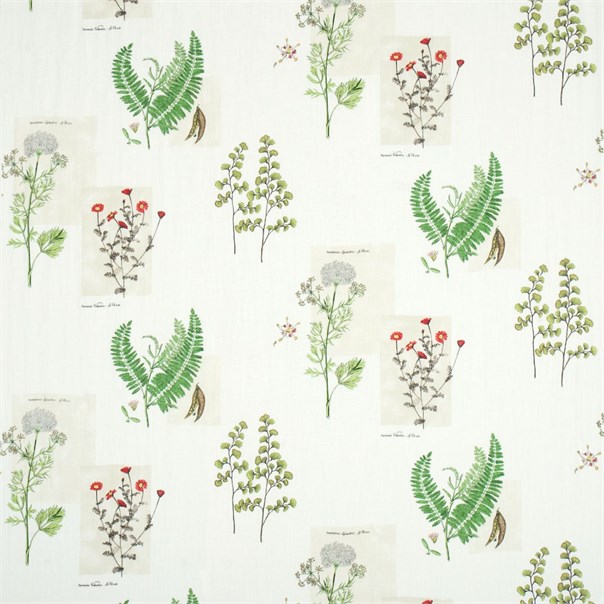 Parchment Flowers Emerald/White Fabric by Sanderson