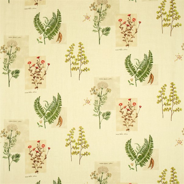 Parchment Flowers Olive/Parchment Fabric by Sanderson