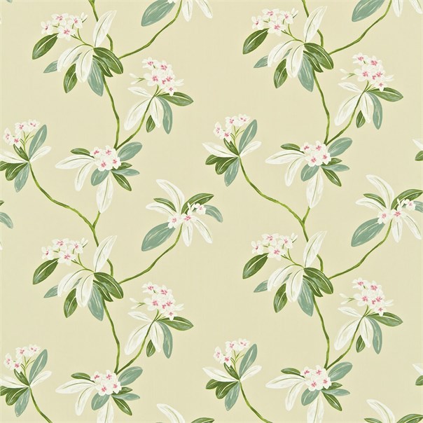Oleander Rose/Cream Fabric by Sanderson