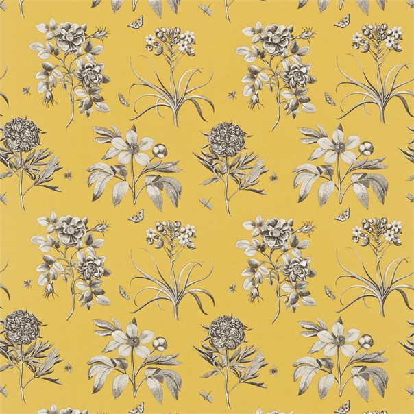 Etchings & Roses Empire Yellow Fabric by Sanderson