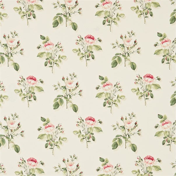 English Rose Pink and Ivory Fabric by Sanderson