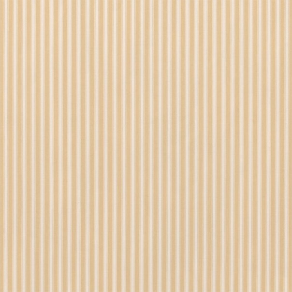New Tiger Stripe Honey/Cream Fabric by Sanderson