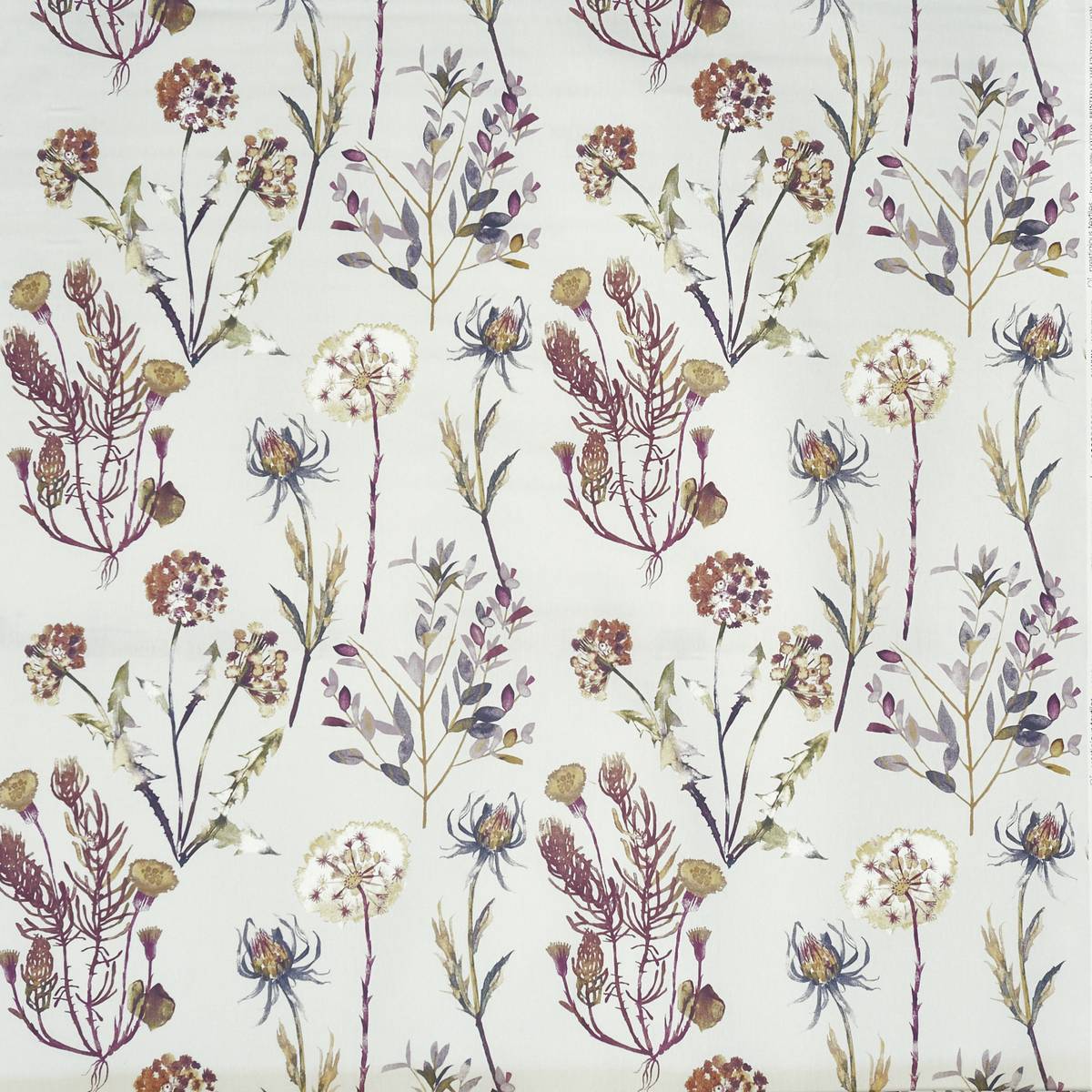 Allium Blossom Fabric by Prestigious Textiles