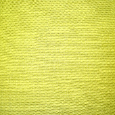 Isles Lime Fabric by Prestigious Textiles