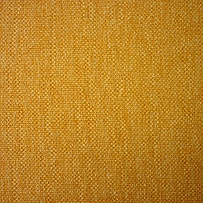 Berwick Sunshine Fabric by Prestigious Textiles