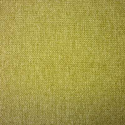 Berwick Pistachio Fabric by Prestigious Textiles