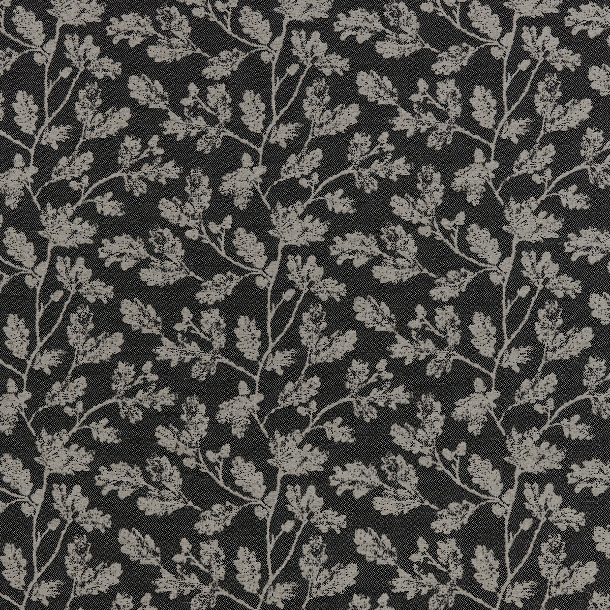 Acorn Charcoal Fabric by iLiv
