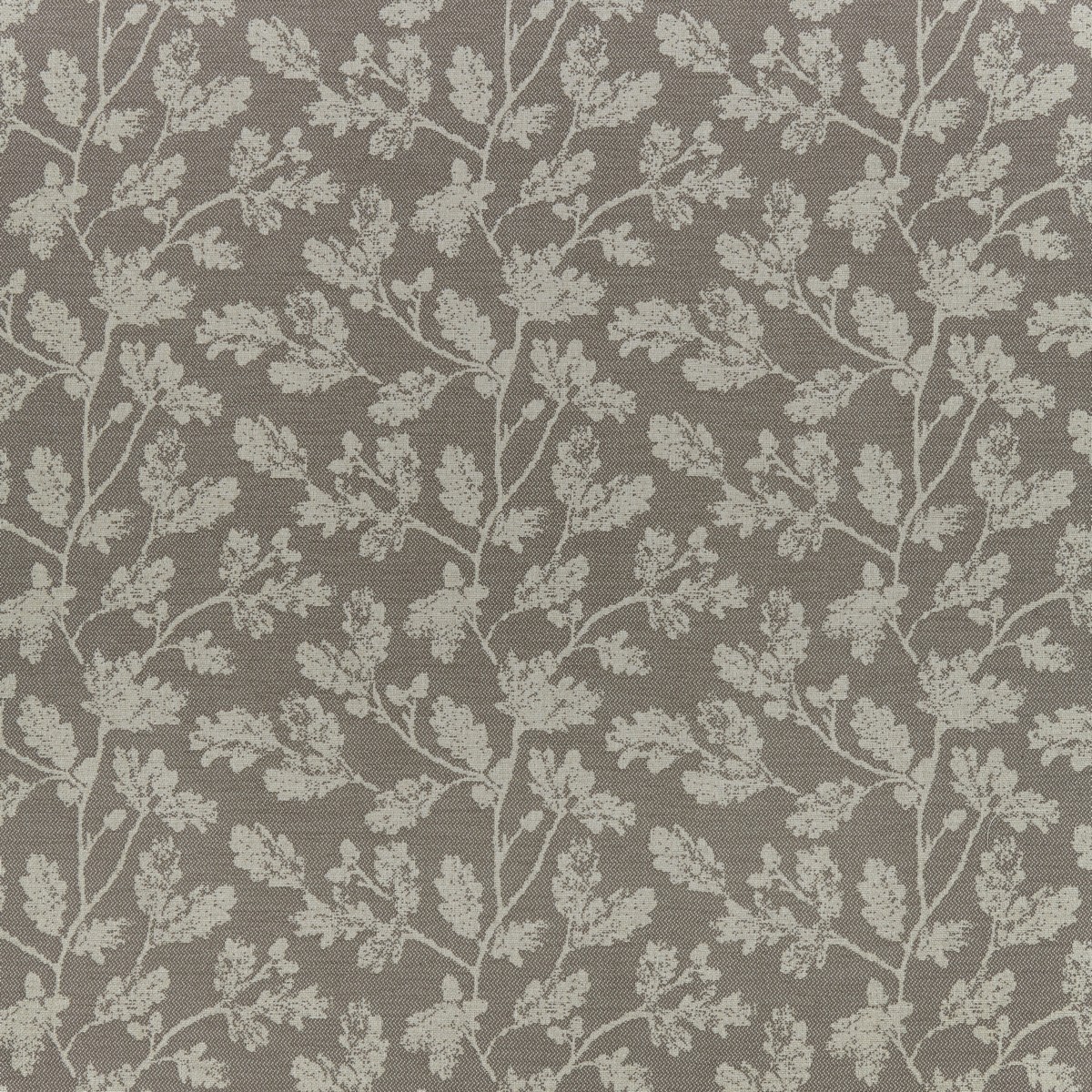 Acorn Taupe Fabric by iLiv