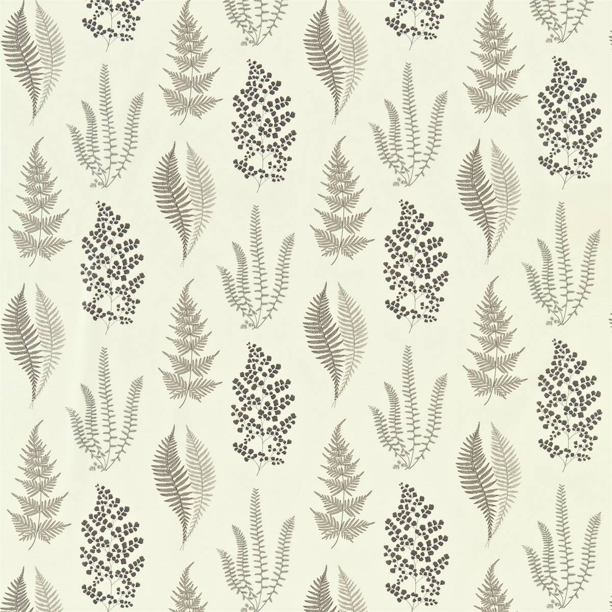 Angel Ferns Charcoal Fabric by Sanderson