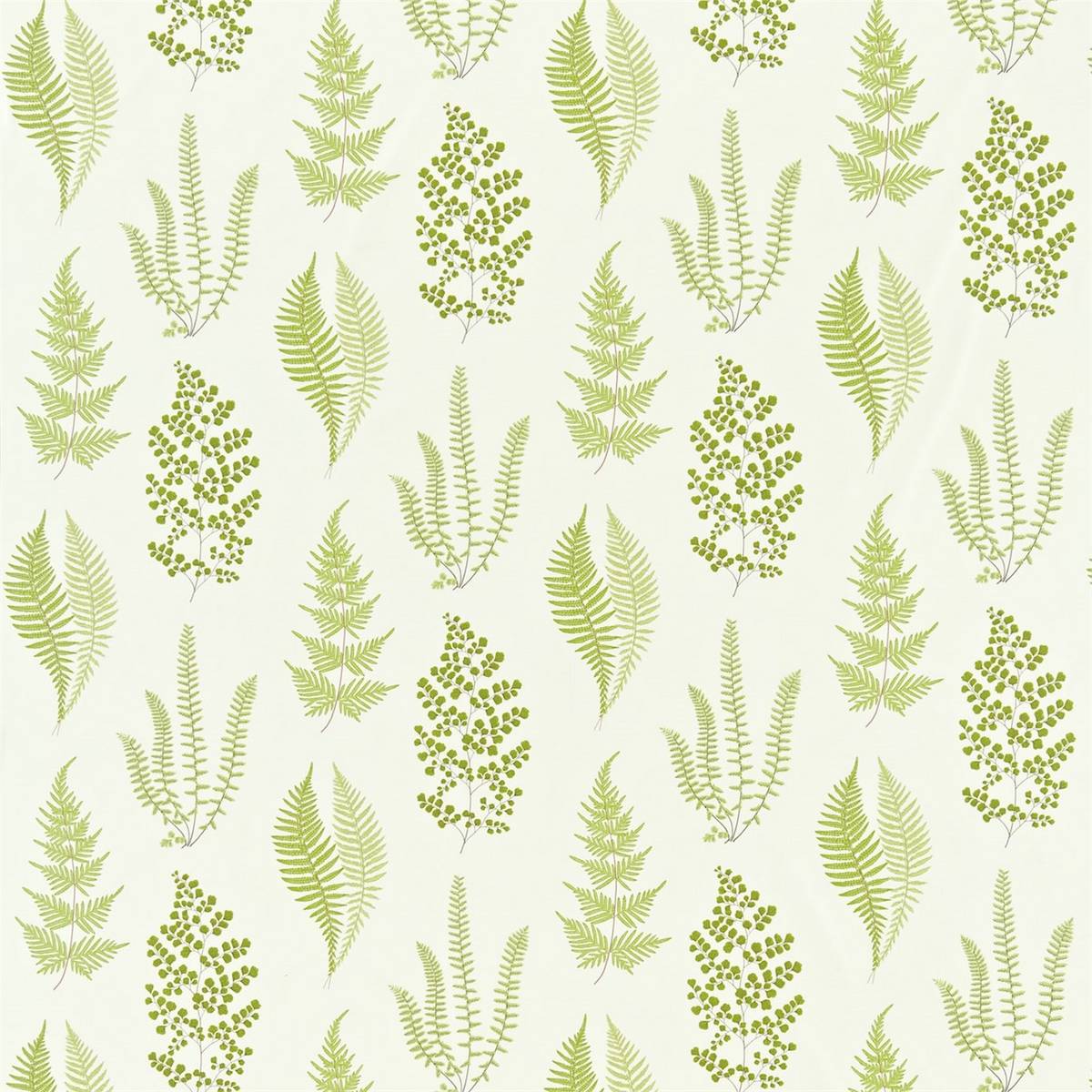 Angel Ferns Olive Fabric by Sanderson