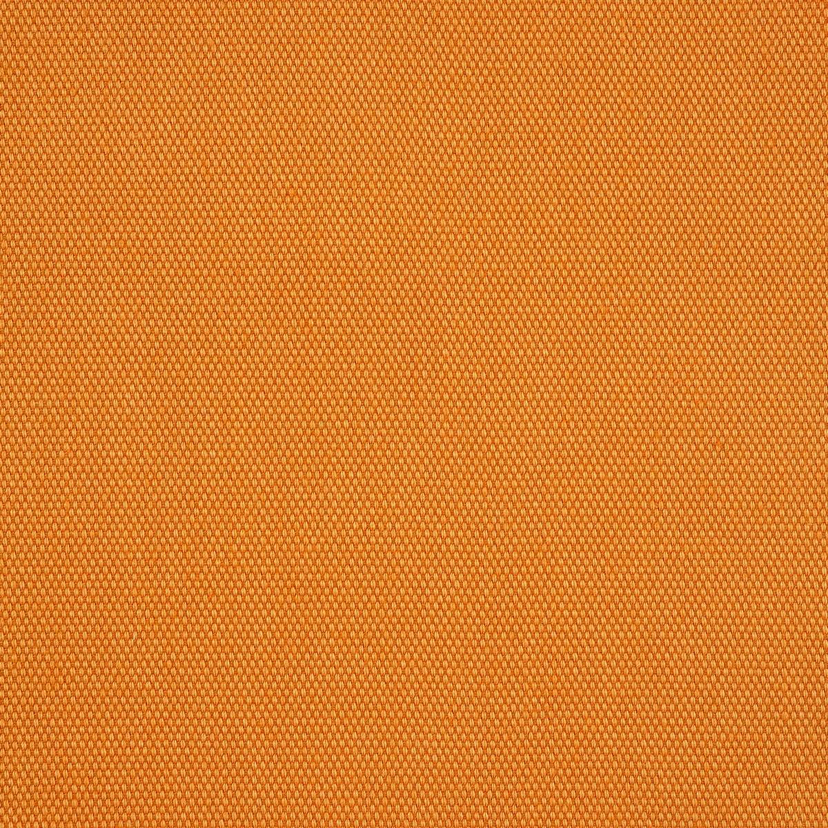 Papavera Plain Peach Fabric by Sanderson