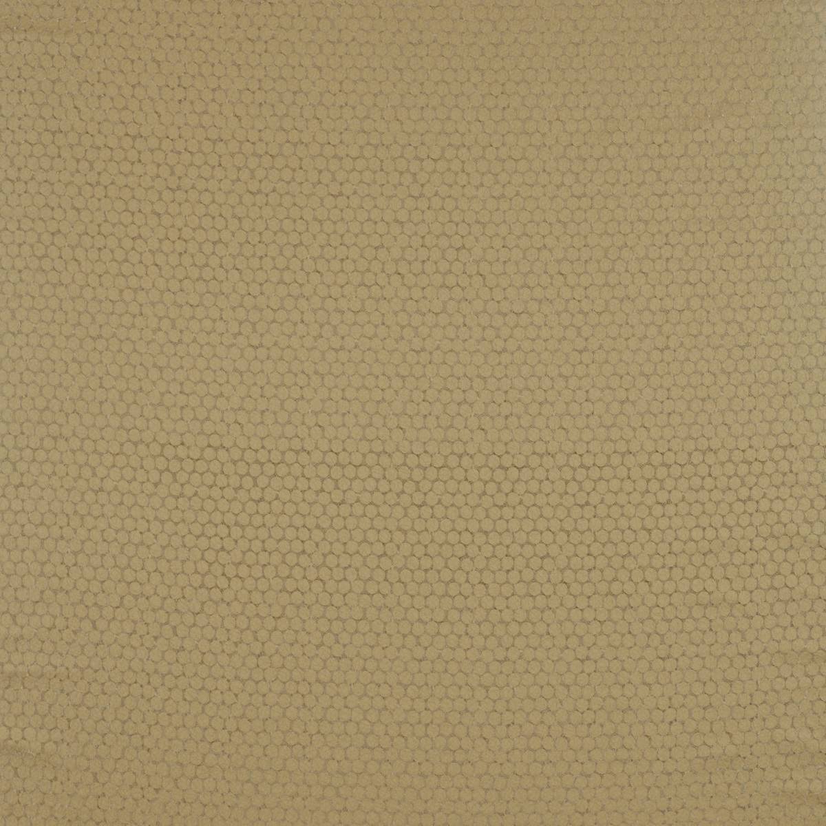 Brooks Old Gold Fabric by Zoffany