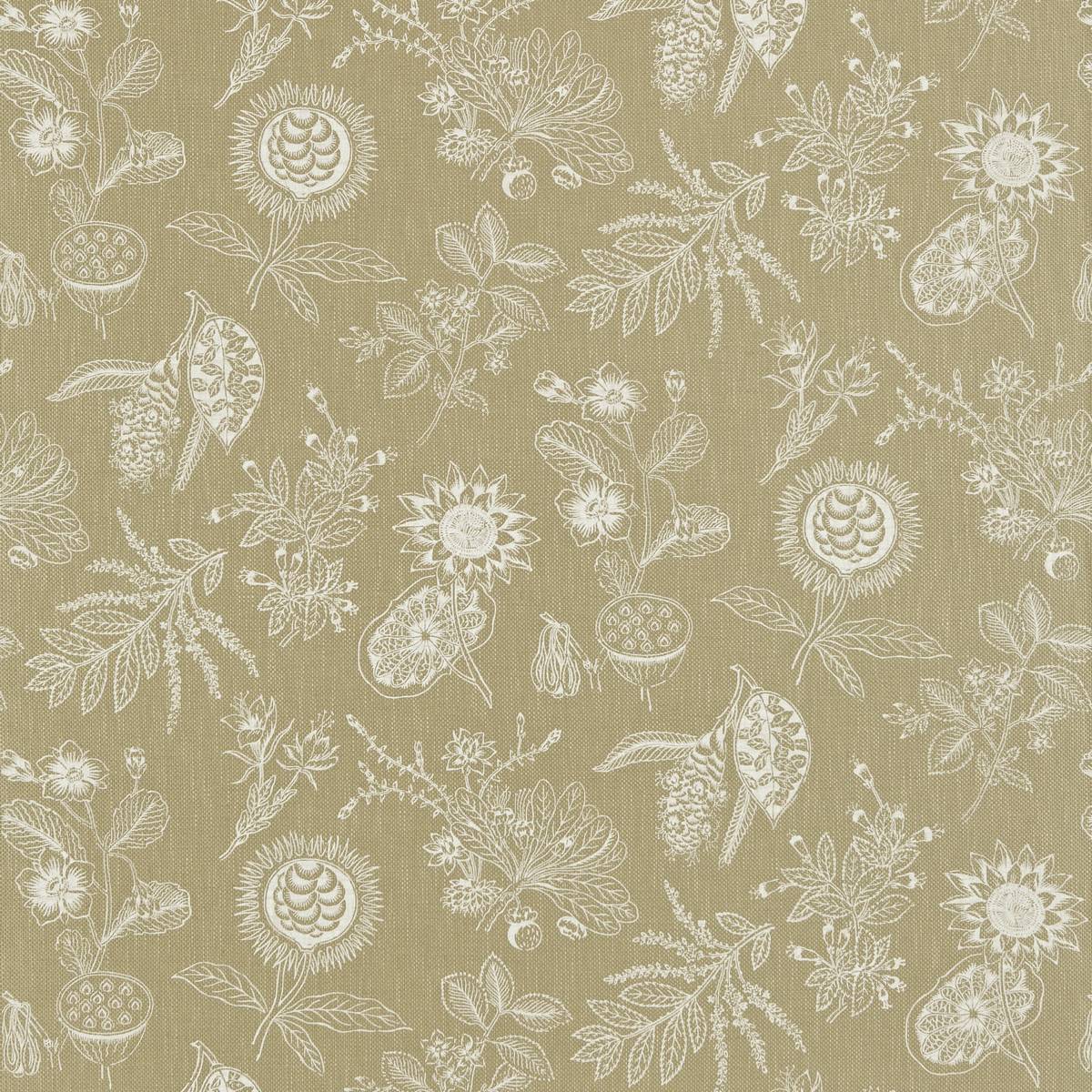 Botanique Linen/Ecru Fabric by Zoffany