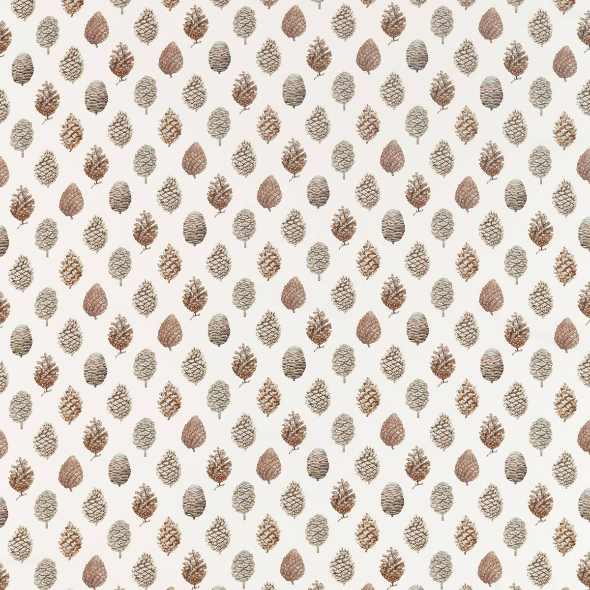 Pine Cones Briarwood/Cream Fabric by Sanderson