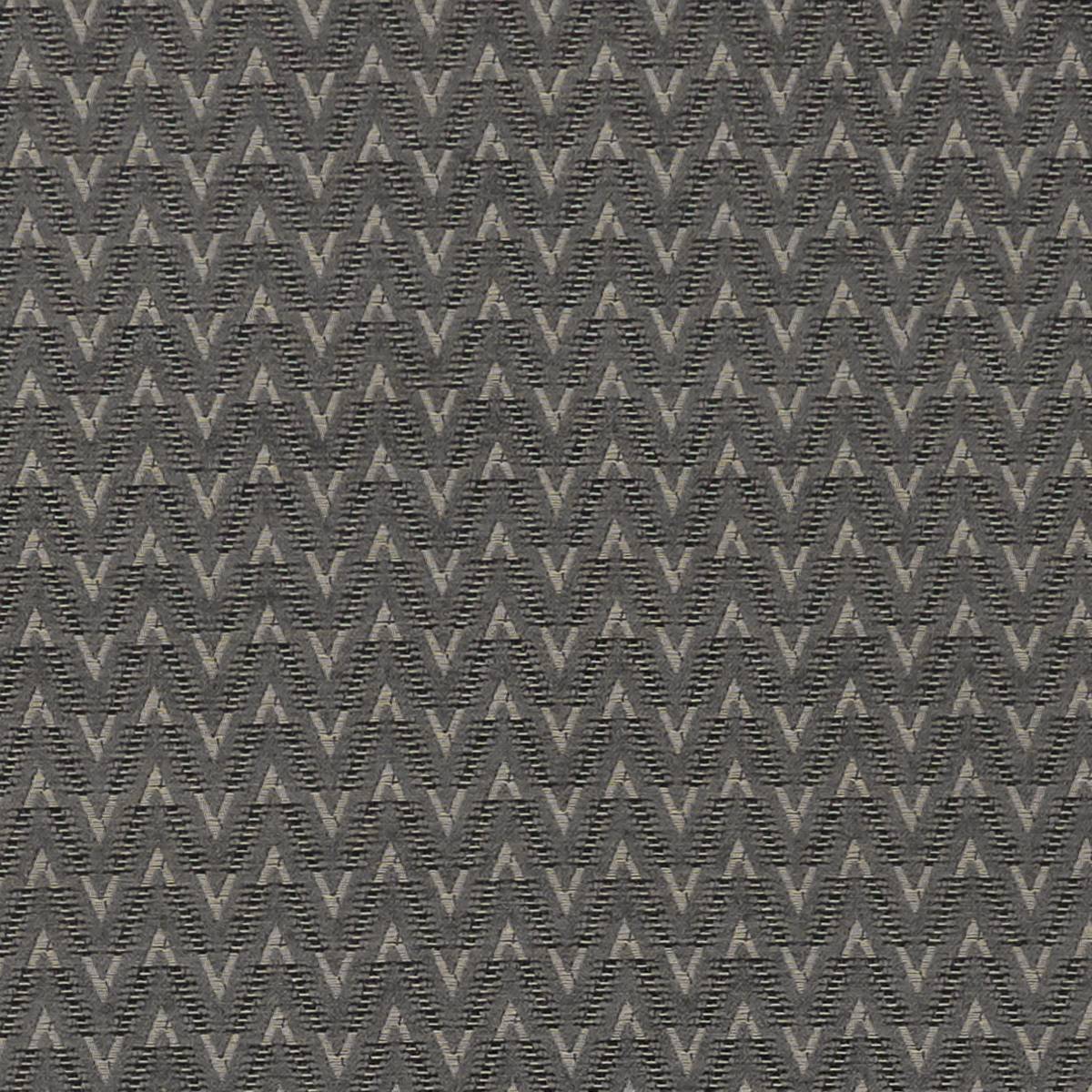 Zion Charcoal Fabric by Clarke & Clarke