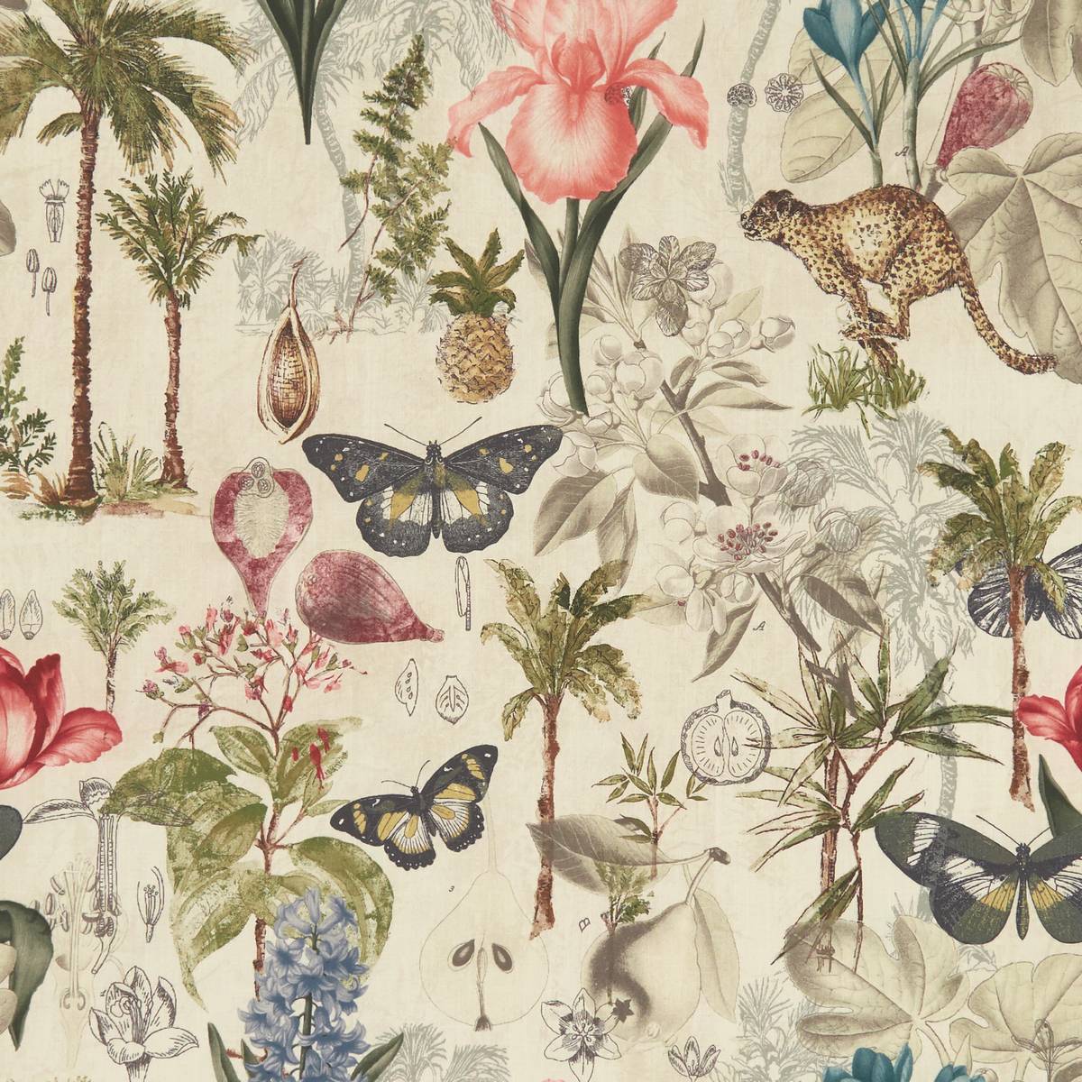 Botany Tropical Fabric by Clarke & Clarke
