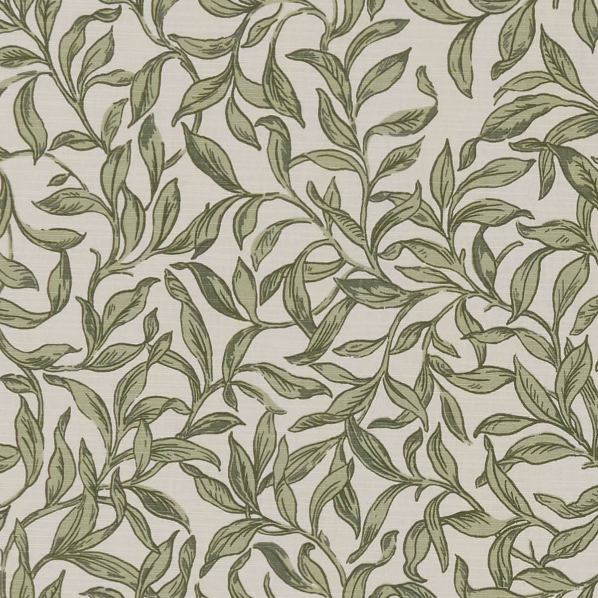 Entwistle Willow Fabric by Studio G