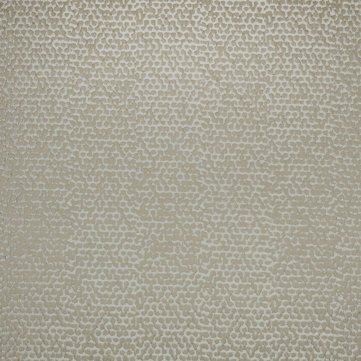 Holt Champagne Fabric by Ashley Wilde