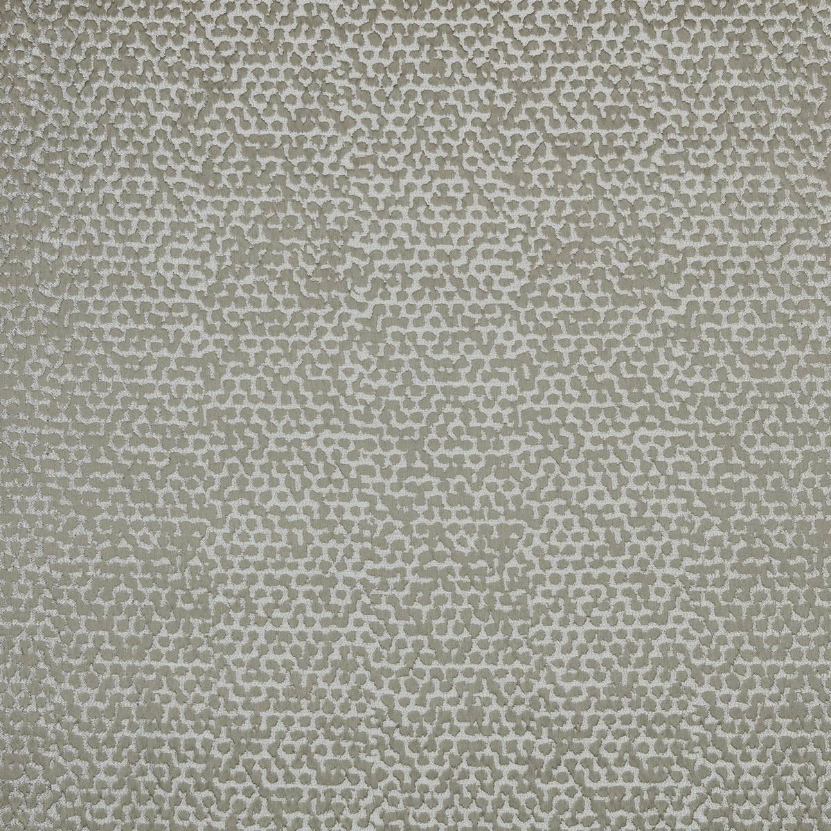 Holt Oyster Fabric by Ashley Wilde