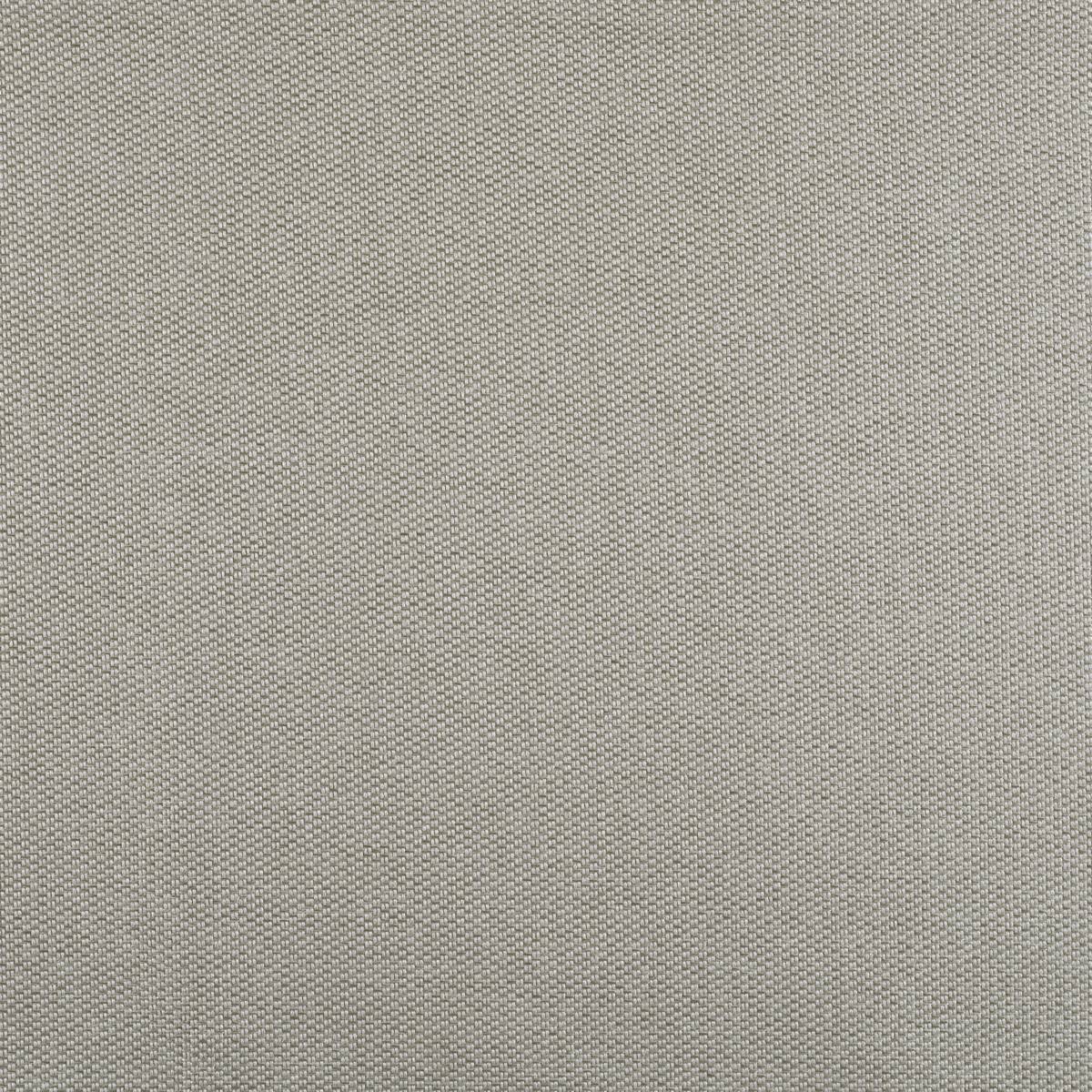 Hagia Platinum Fabric by Warwick - Reduced To Clear - Britannia Rose