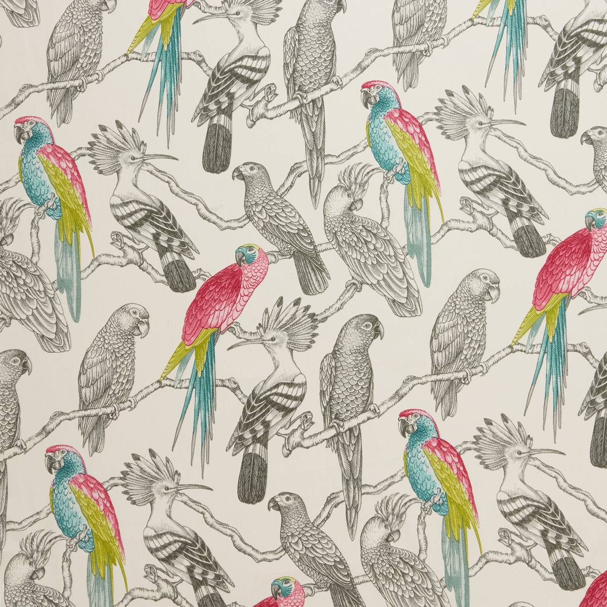 Aviary Begonia Fabric by iLiv