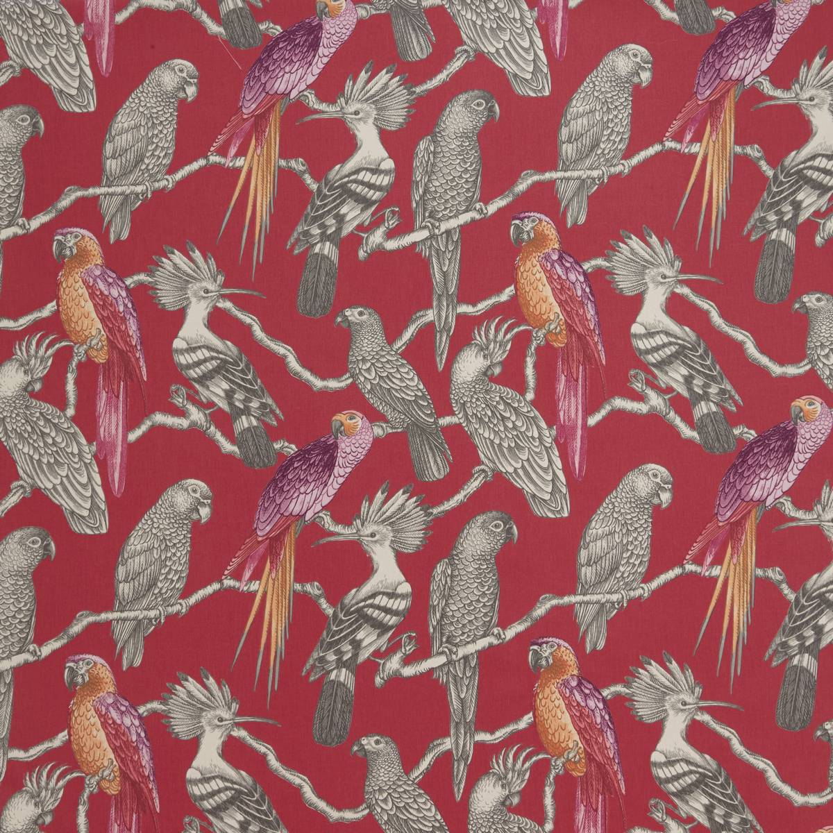 Aviary Pomegranate Fabric by iLiv