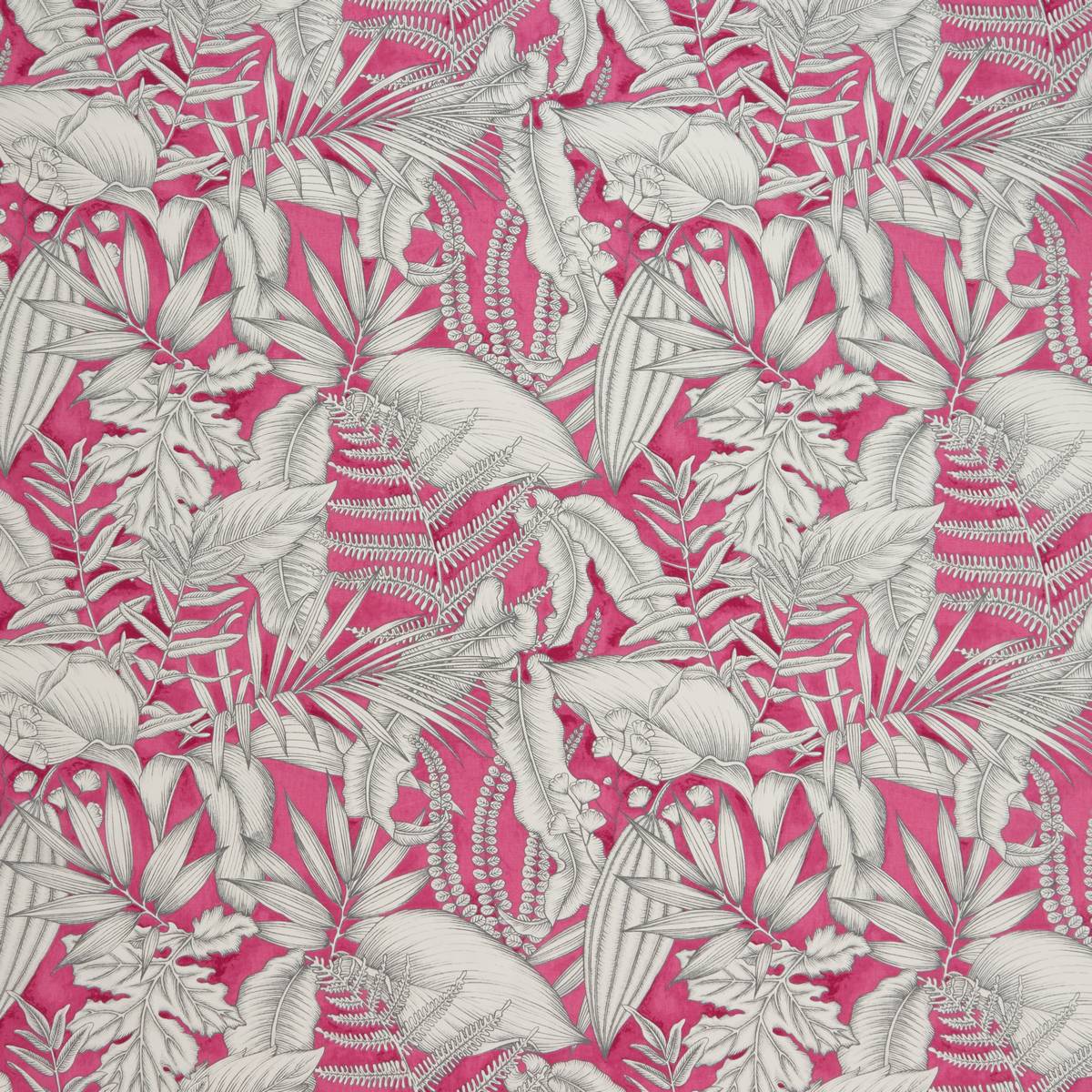 Caicos Begonia Fabric by iLiv