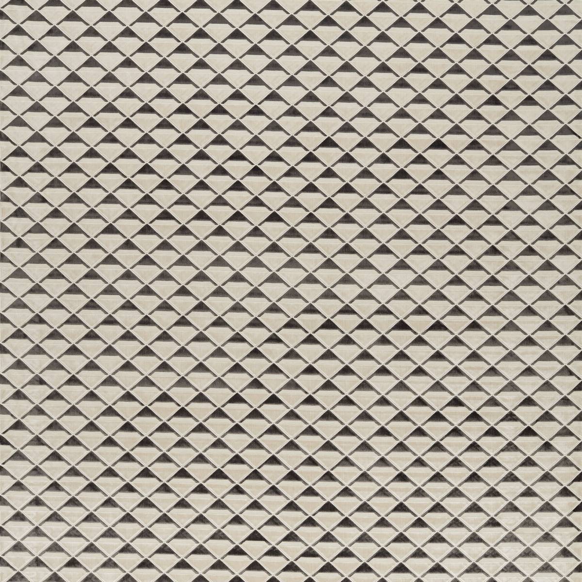 Petrova Charcoal/Oyster Fabric by Harlequin