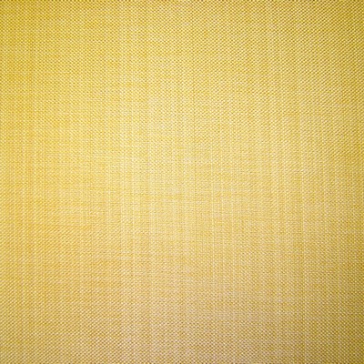 Gem Corn Fabric by Prestigious Textiles
