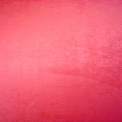 Palladium Scarlet Fabric by Prestigious Textiles