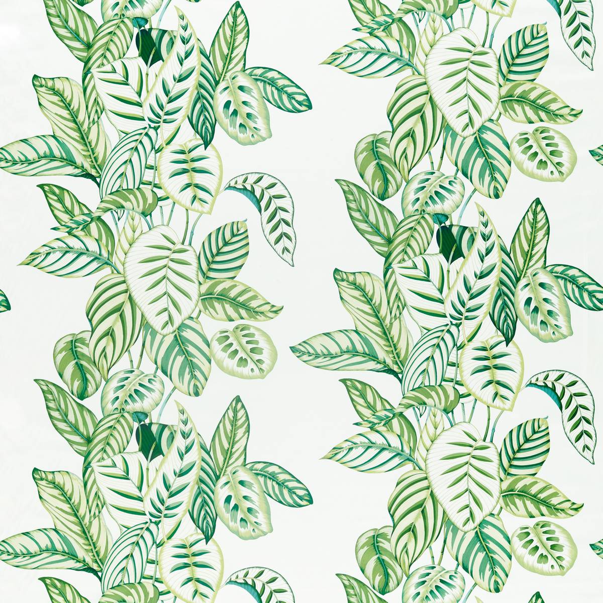 Calathea Botanical Green Fabric by Sanderson