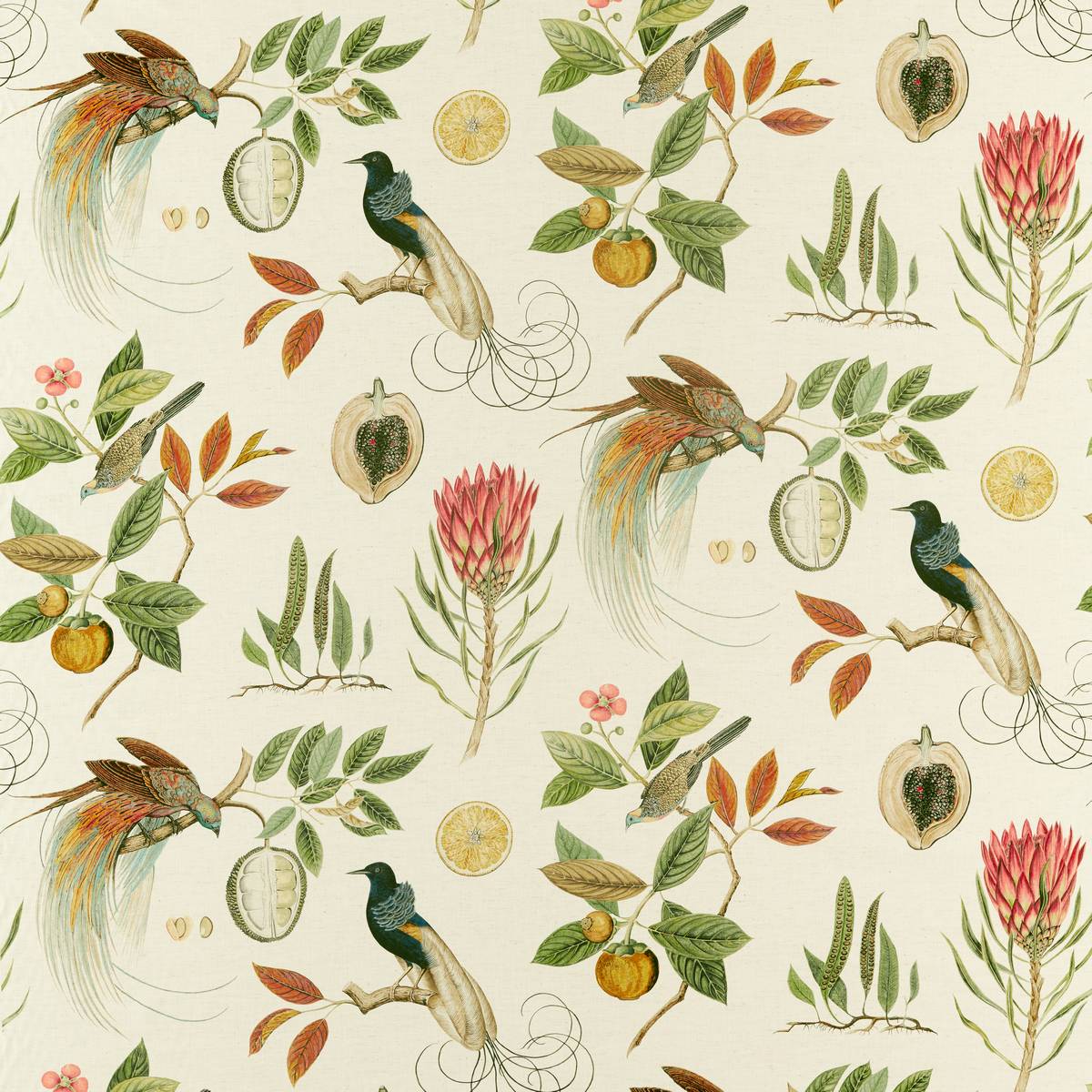 Paradesia Orange/Olive Fabric by Sanderson