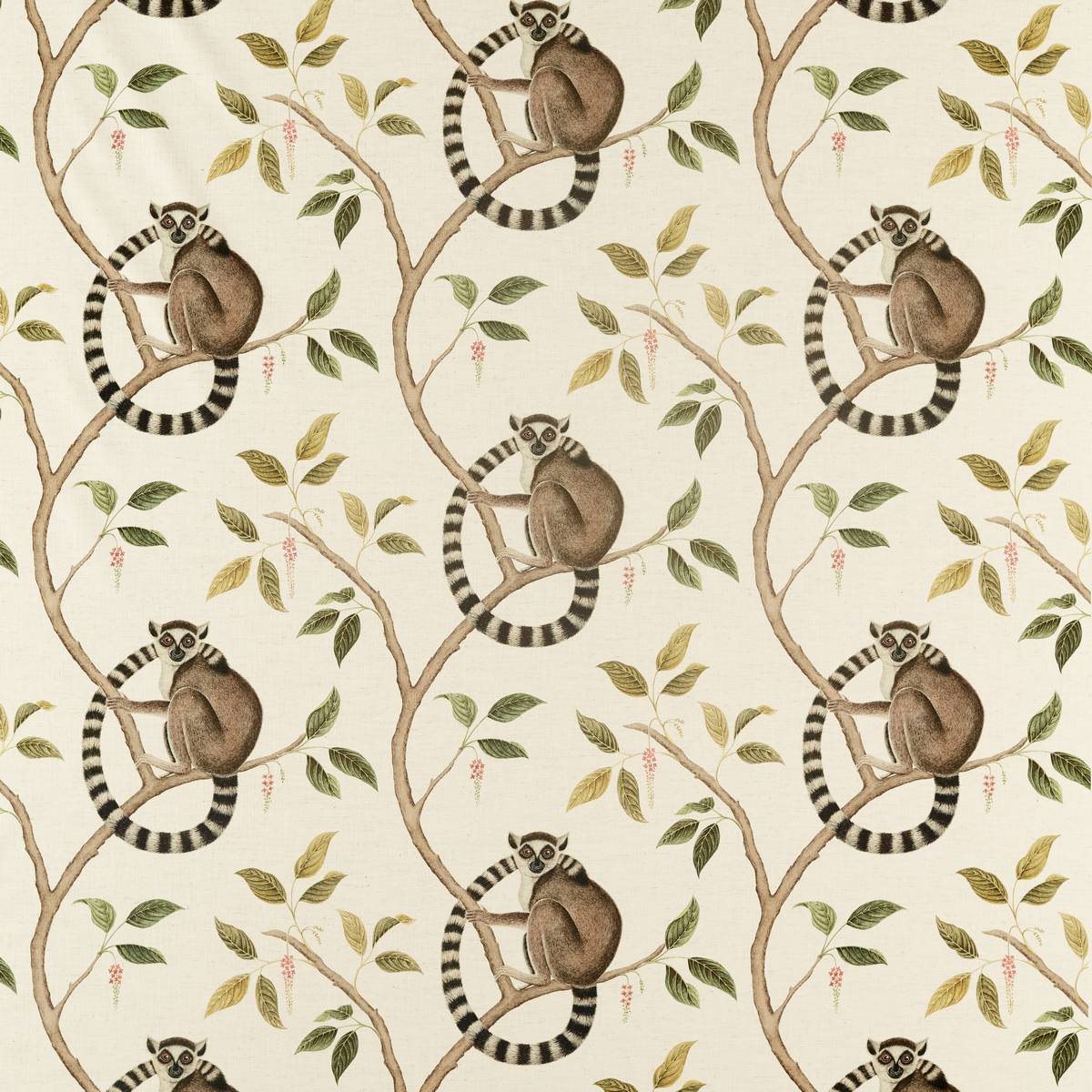 Ringtailed Lemur Olive Fabric by Sanderson