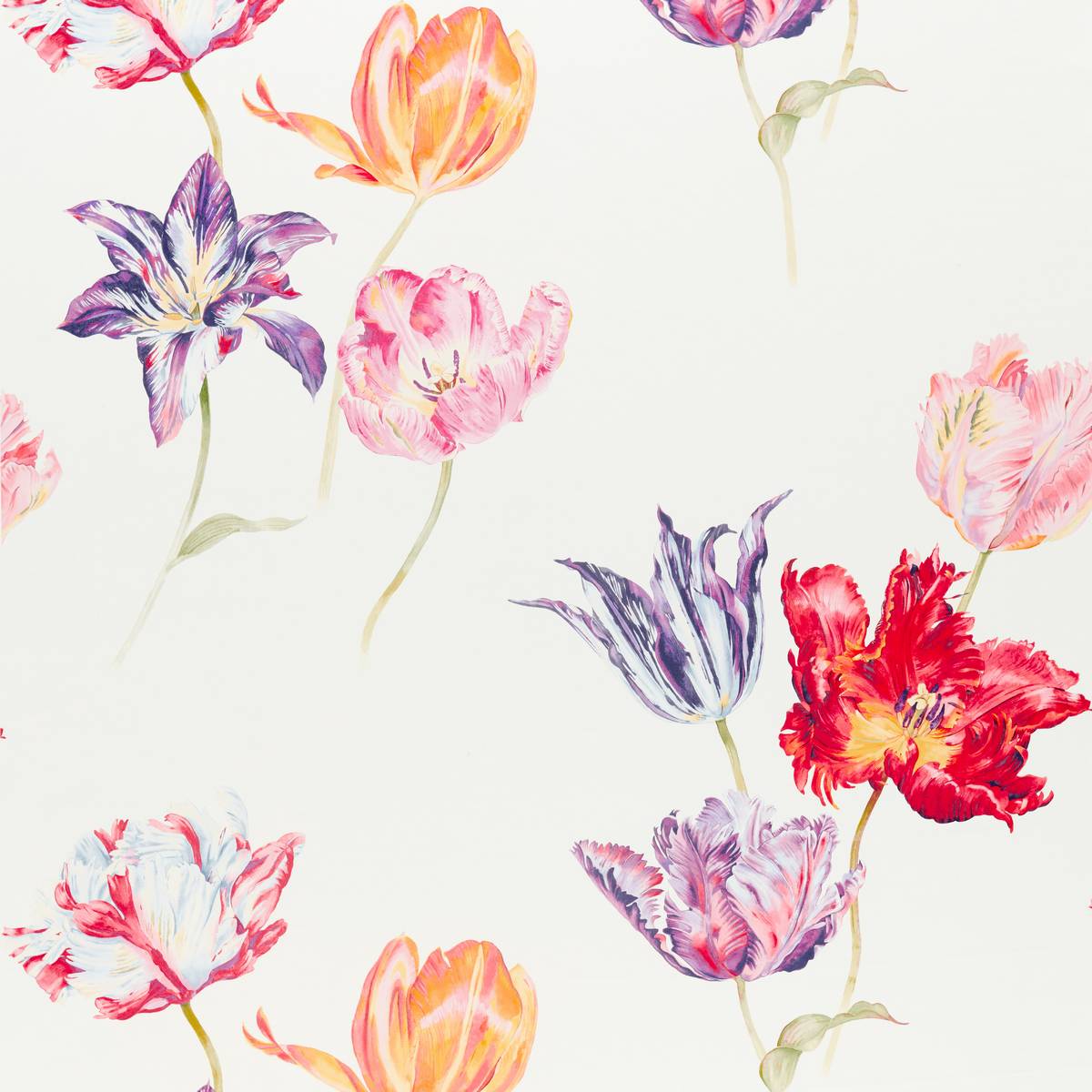 Tulipomania Botanical Fabric by Sanderson