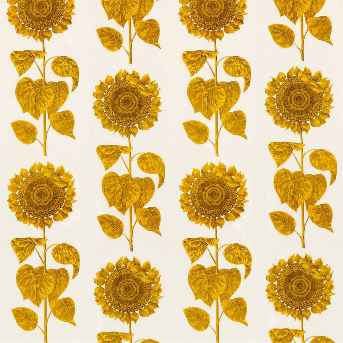Palladio Sunflower Ivory Fabric by Sanderson