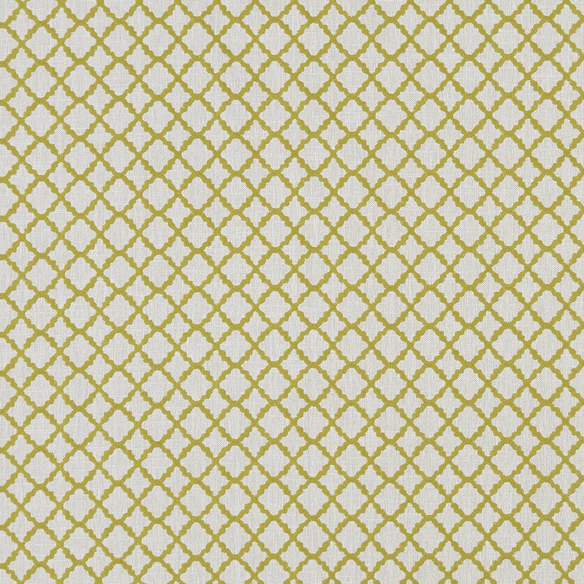 Ariyana Chartreuse Fabric by Clarke & Clarke