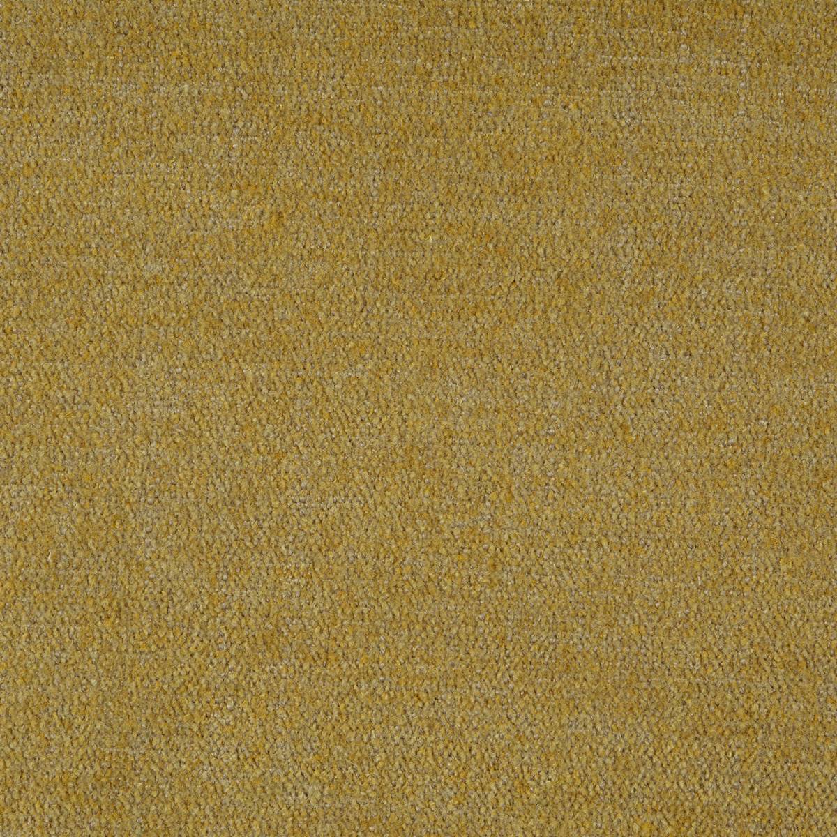 Marly Chenille Gold Fabric by Harlequin