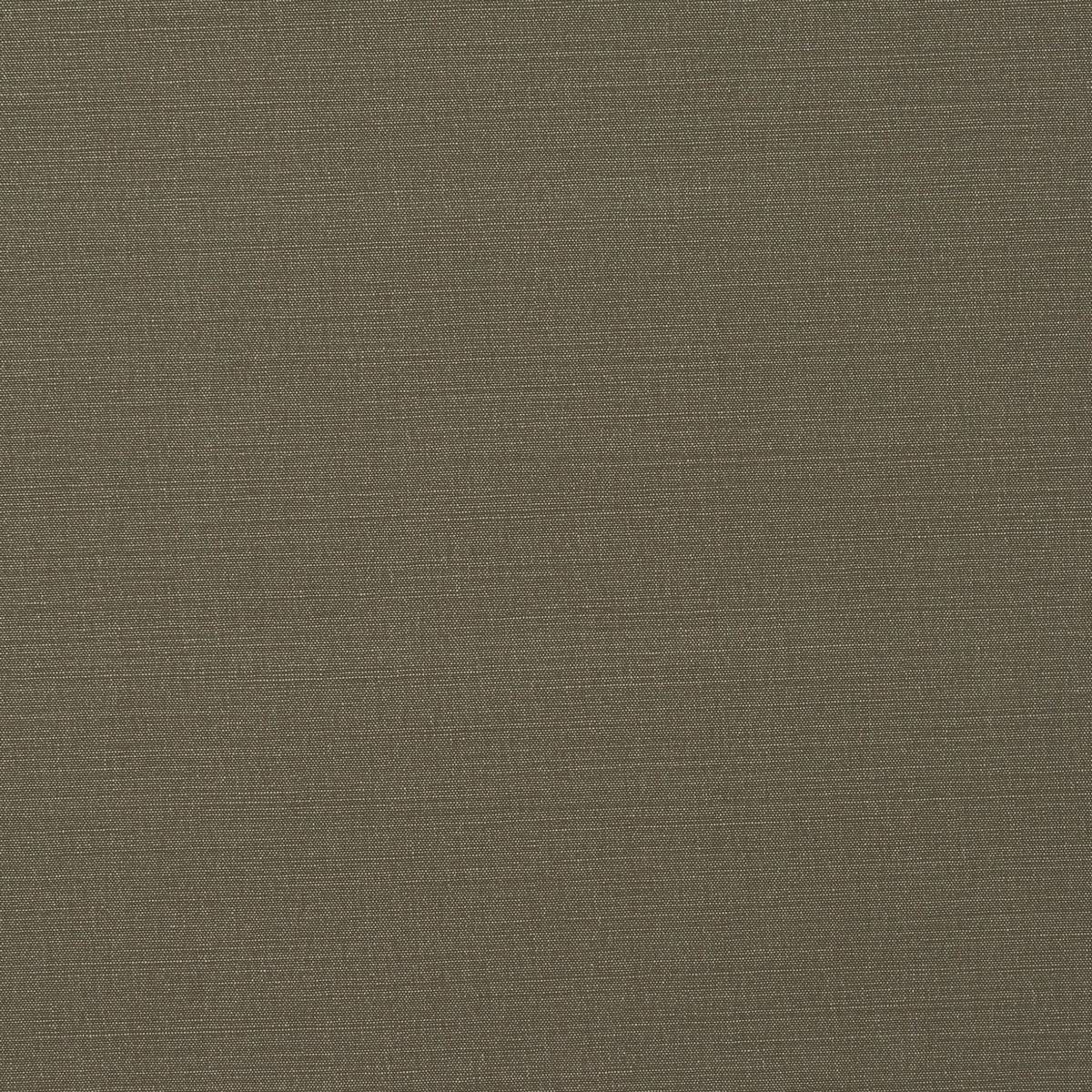 Carrera Taupe Fabric by Fryetts