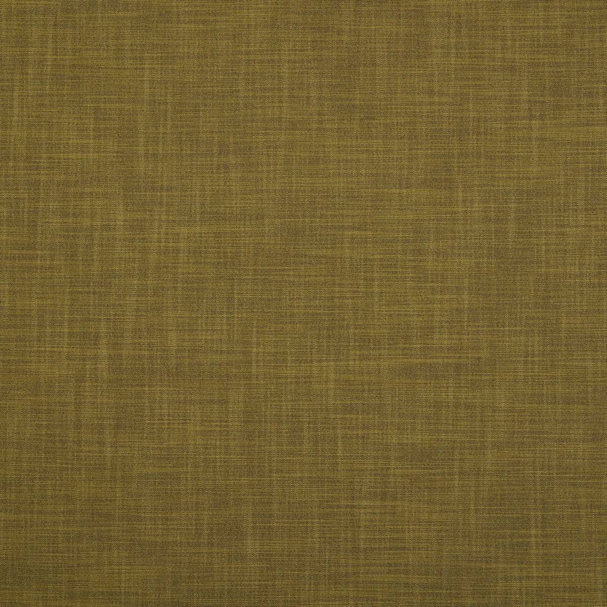 Zander Olive Fabric by Ashley Wilde