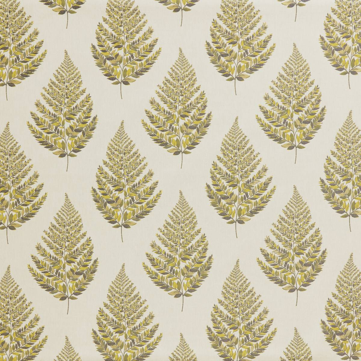 Frond Fennel Fabric by iLiv