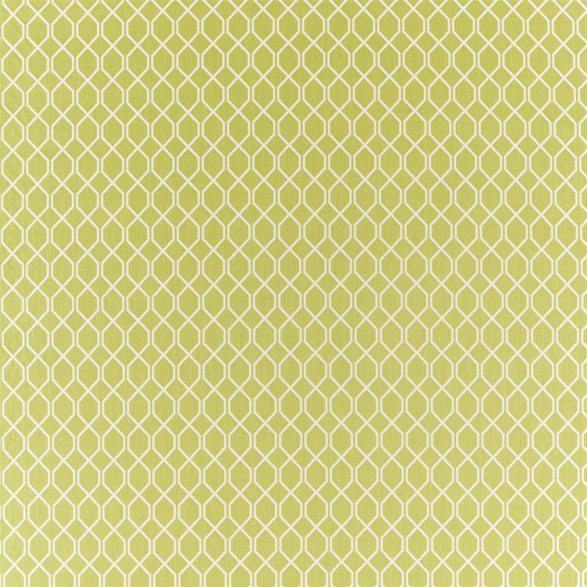 Botanic Trellis Lime Fabric by Sanderson