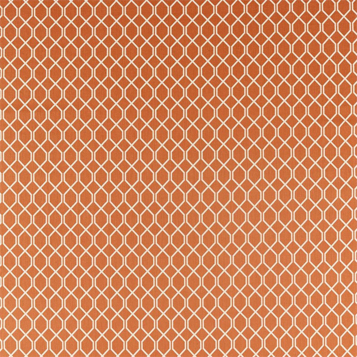 Botanic Trellis Papaya Fabric by Sanderson