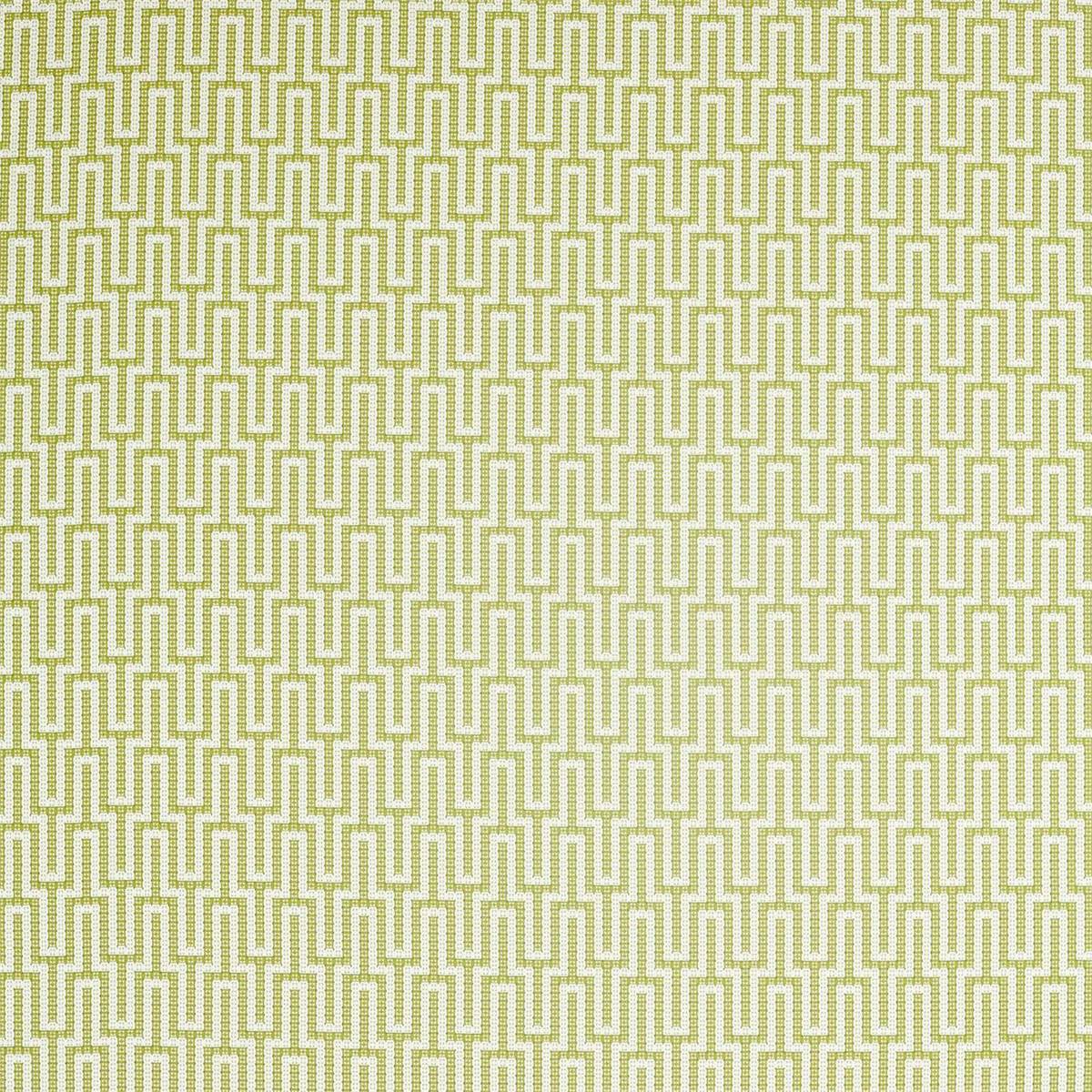 Linnean Lime Fabric by Sanderson